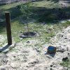 2011 Fruehling