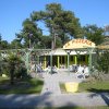 2011 Fruehling