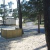 2011 Fruehling